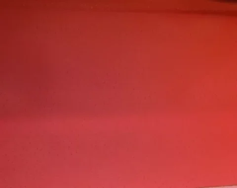 69 70 GTX Belvedere Satellite Roadrunner Red Headliner